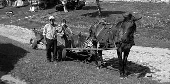 Sommerworkcamp in Viscri